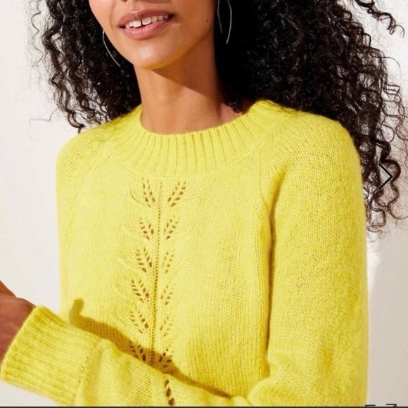 NEW Ann Taylor Loft Sweater - Picture 2 of 12